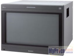 Sony BVM-D32E1WE 專(zhuān)業(yè)監(jiān)視器在安防監(jiān)控領(lǐng)域的應(yīng)用與總覽